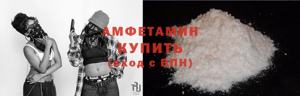 дмт Пересвет