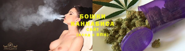 ПСИЛОЦИБИНОВЫЕ ГРИБЫ Покров