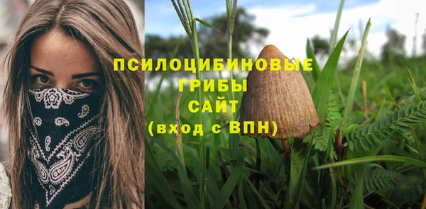 дмт Пересвет