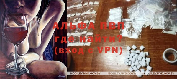 дмт Пересвет