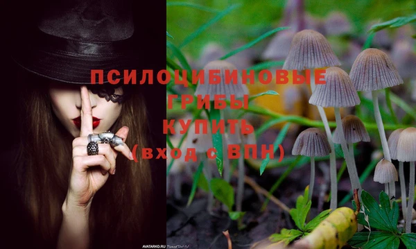 МДПВ Переславль-Залесский