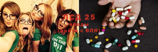 ПСИЛОЦИБИНОВЫЕ ГРИБЫ Покров