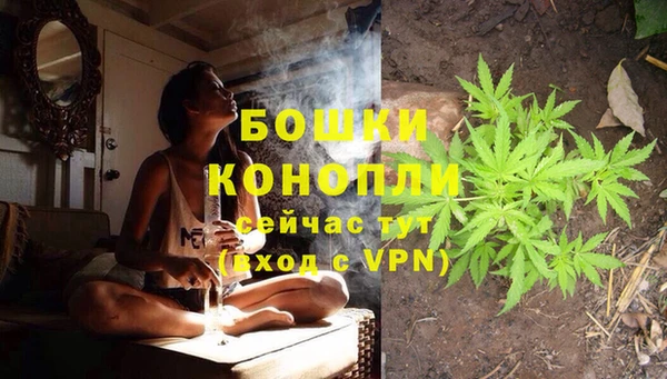 стаф Жердевка