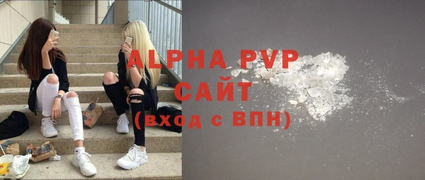 дмт Пересвет
