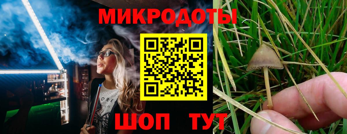 Галлюциногенные грибы прущие грибы  Галлюциногенные грибы Psilocybe  Сертолово  Вход с VPN 