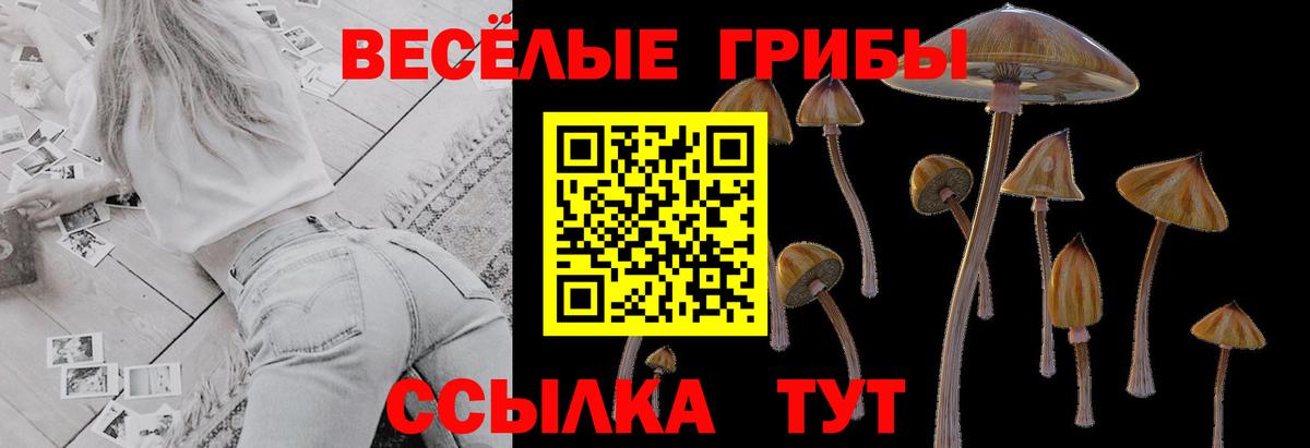 Галлюциногенные грибы MAGIC MUSHROOMS  Сертолово 